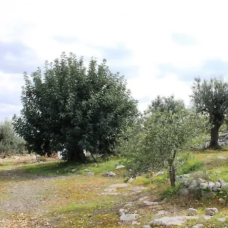 ゲストハウス Musica E Mare *